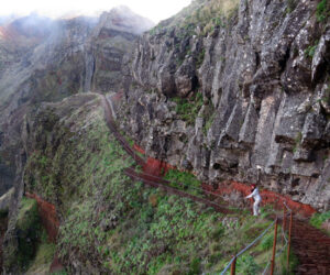 sendero-montana-madeira