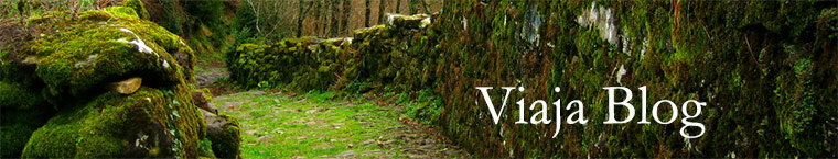 Portada 11: Camino a Idoia, Navarra