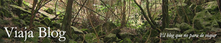 Portada 17, Sot Llobater, Montseny