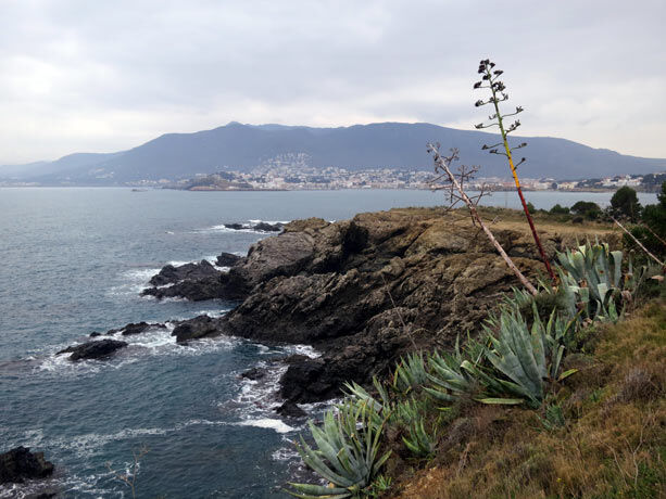 costa-brava-cala-selva