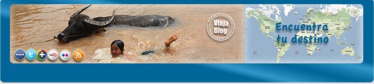 Portada 150: Bufalos de agua, Malasia