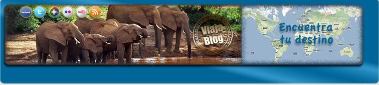 Portada 151: Safari en Kenia