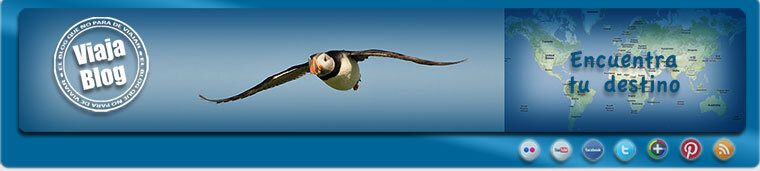 Portada 158: Puffin, Escocia (@Ramongarcia)