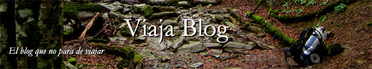 Portada 27: Bosque de Irati, Navarra