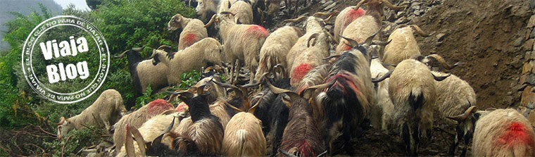 Portada 86: Cabras, Annapurna