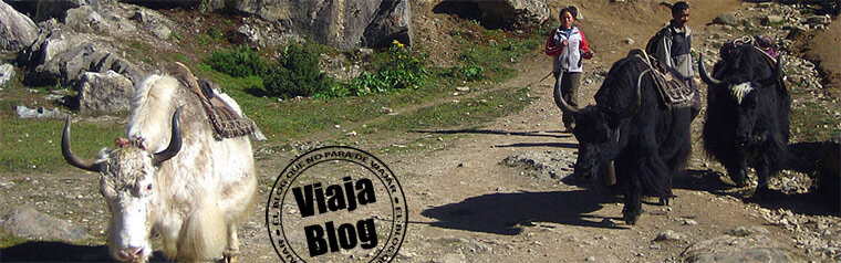 Portada 89: Yaks en Himalaya