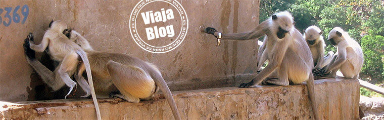 Portada 93: Pushkar, India