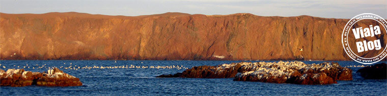 Portada 96: Paracas, Perú