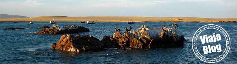 Portada 97: Pelicanos en las Islas Ballestas, Perú