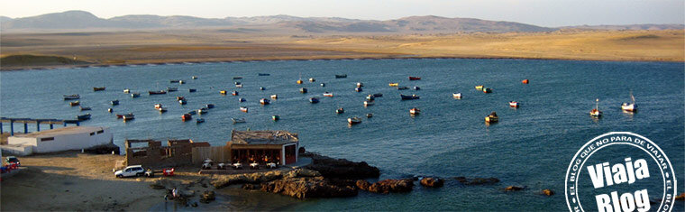 Portada 98: Paracas, Perú