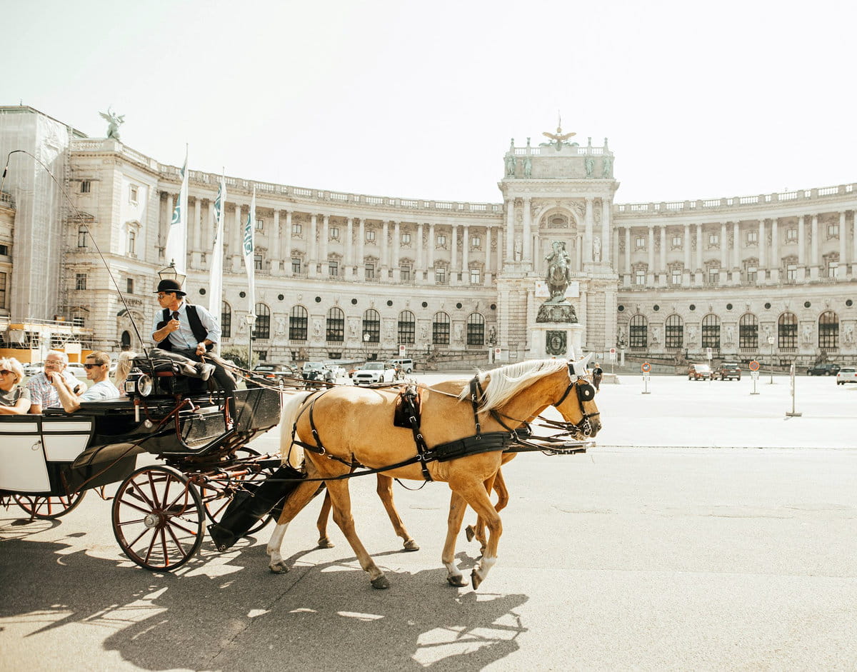 Caballo en Viena