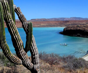 Vídeo de viaje a Baja California Sur