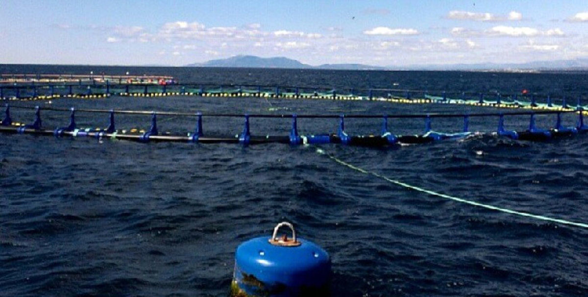 Zona de buceo 