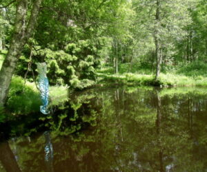 Småland: Visita a la iglesia de Habo y los jardines de Gunillaberg