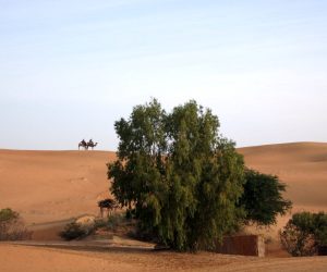desierto de Lompoul