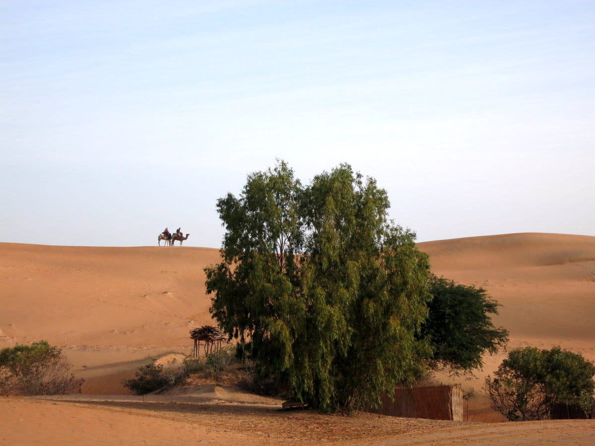 desierto de Lompoul