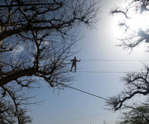 puente-aereo-senegal