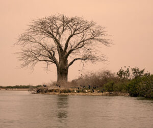 Vídeo de un viaje a Senegal de una semana