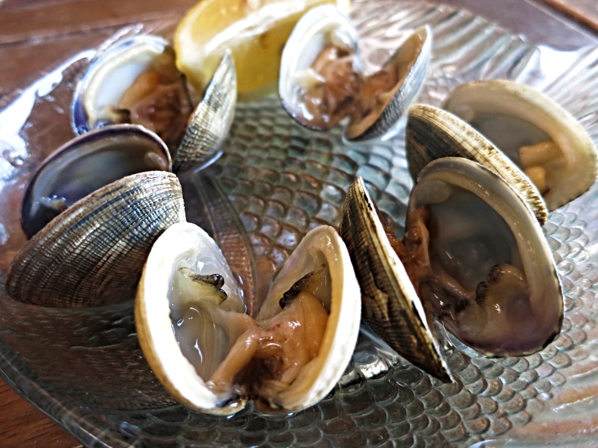 leucate francia ostras