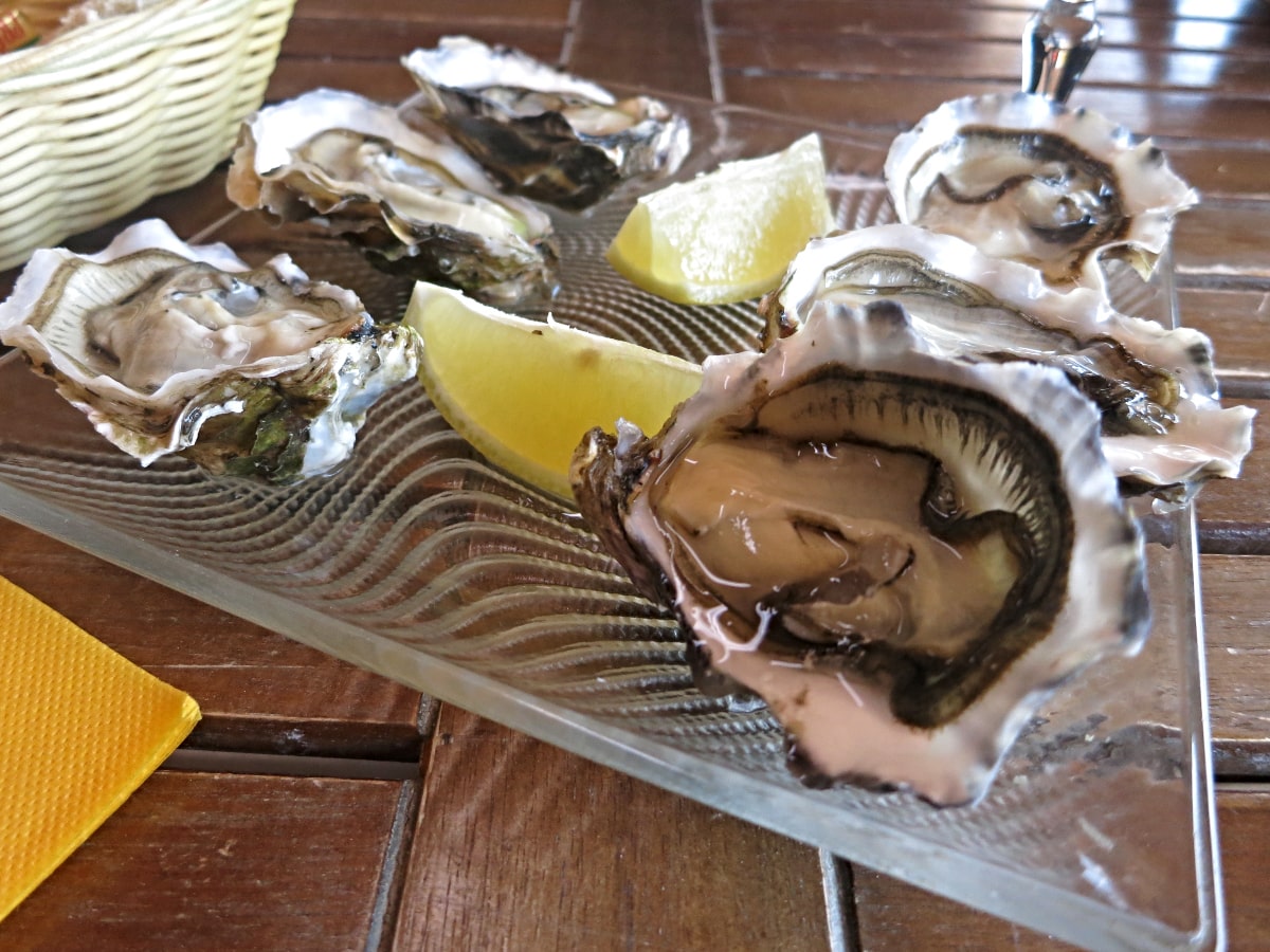 Degustando ostras del mediterráneo en Leucate
