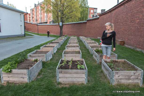 Agricultura Urbana (II) en Hotel Best Western Premier Katajanokka Helsinki