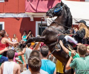 Cosas que no hacer: ponerse al alcance de las patas del caballo, Jaleo en Es Castell, Menorca