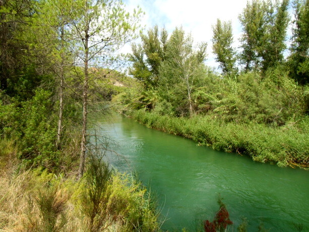 Las aguas del río Cabriel son muy limpias