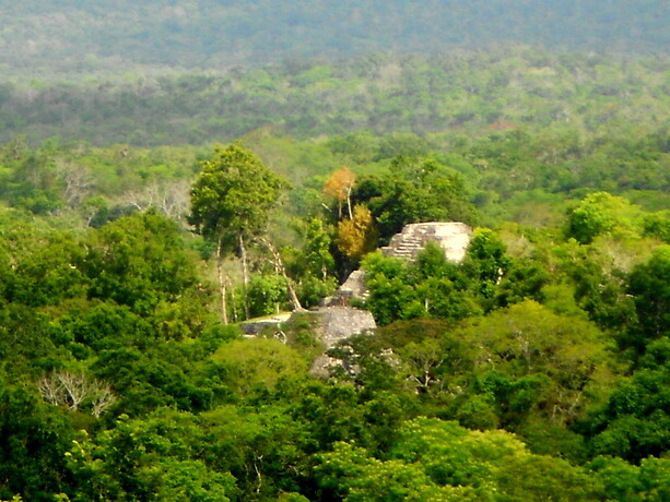 Vista de otro templo desde la cima del 216