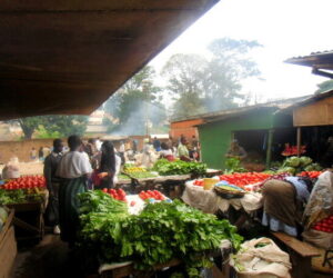 La ciudad de Blantyre en Malawi y despedida de Ophir