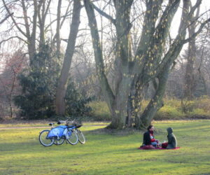 Düsseldorf, calidad de vida a orillas del Rhin