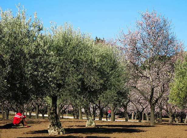 Quinta de los Molinos