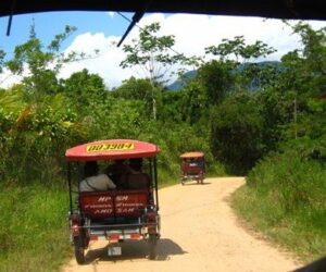 Tarapoto: visitando animales de la selva en peligro de extinción