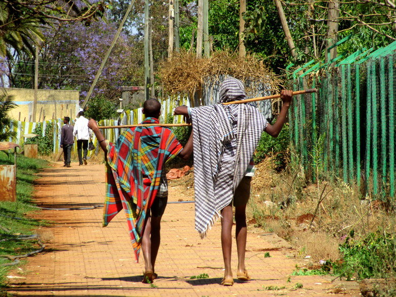 Bahir Dar