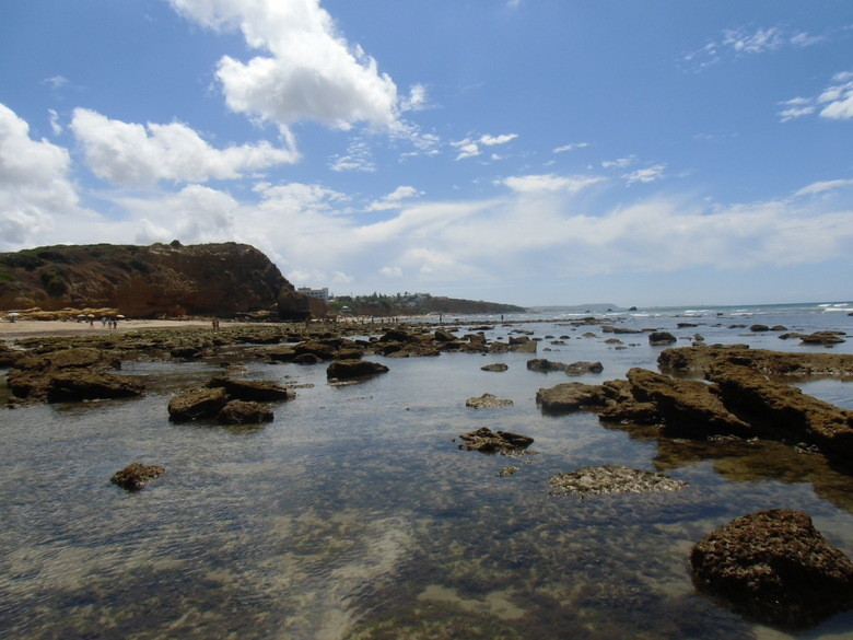 calas-de-roche