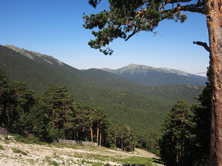 guadarrama-madrid