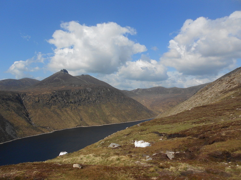 wicklow