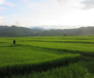 Razones por las que viajar a Myanmar antes que a Tailandia