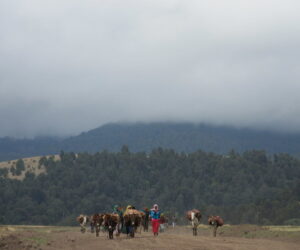 Camino al trekking de Dodola, al sur de Etiopía
