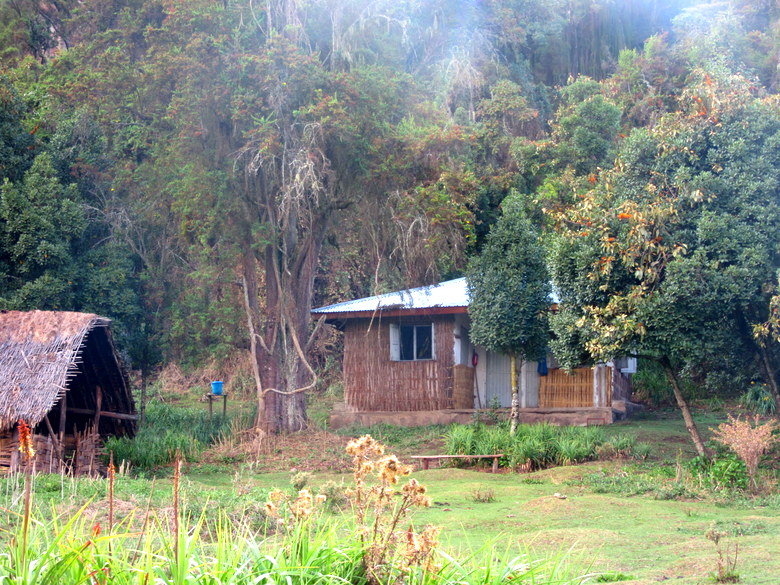dodola7