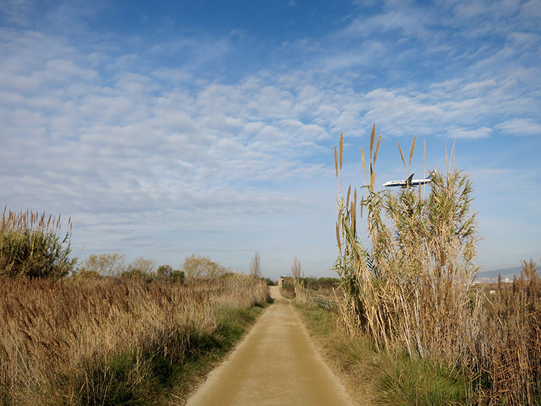 Uno de los caminos principales al lado del río Llobregat