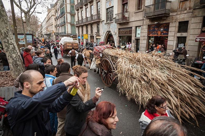 sant antoni Tres Tombs