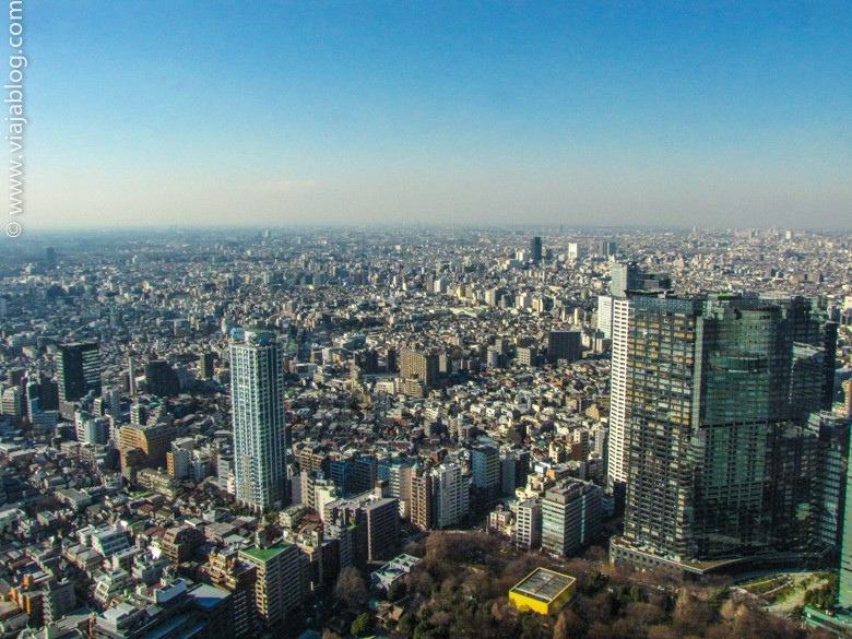 Vistas de Tokio (Japón)