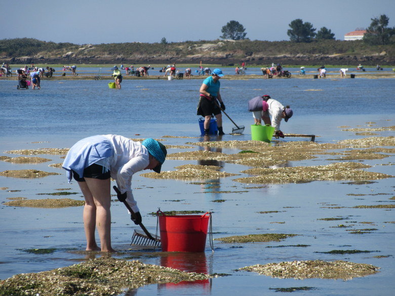 mariscadoras-rias-baixas