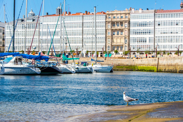 Edificios con las típicas galerías en la Avenida de la Marina de La Coruña [(c)Foto: @avistu]