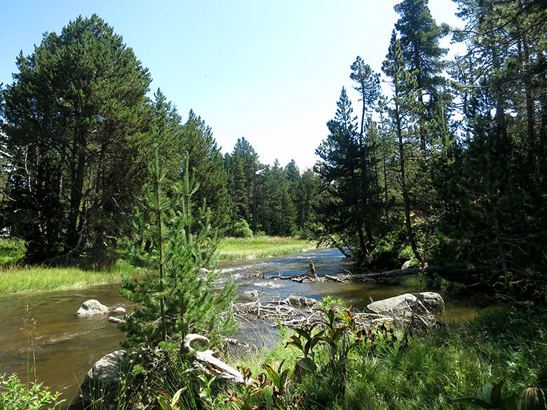 El manso río que cruce el Pla de Barrès en el Pirineo francés