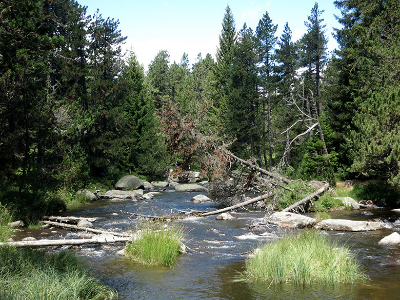 rio-tet-pirineos