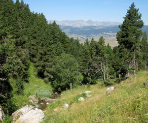 Ruta circular por el valle de Eyne en el Pirineo francés