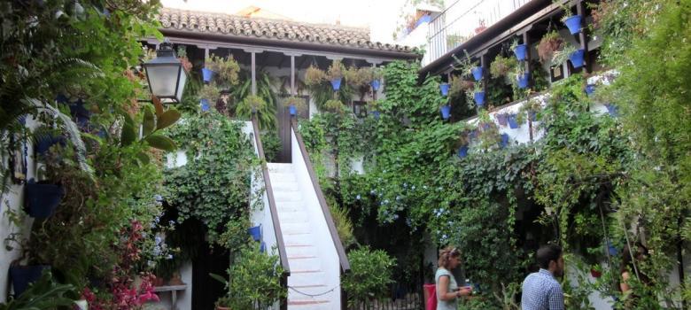 patios de cordoba 2022