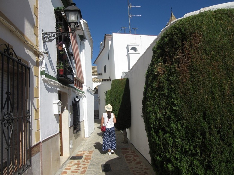 barrio-cabra