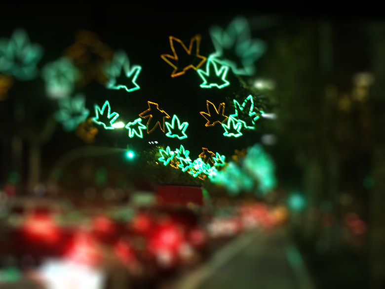 Resultat d'imatges de luces de navidad